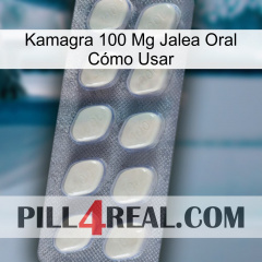 Kamagra 100 Mg Jalea Oral Cómo Usar 08